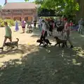 Dogs do a circular walk, The Brome and Oakley Fete, Brome Hall, Suffolk - 12th July 2025
