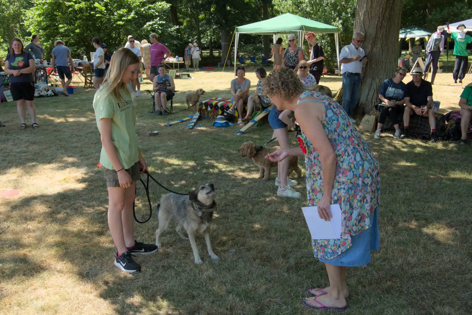 Gizmo gets ready to catch, from The Brome and Oakley Fete, Brome Hall, Suffolk - 12th July 2025