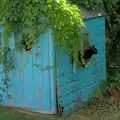 A kitten escapes through the window, The Brome and Oakley Fete, Brome Hall, Suffolk - 12th July 2025