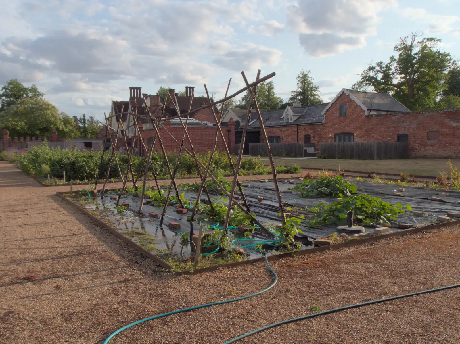 The Oaksmere's walled garden, from Anniversary Prosecco and BSSC Bike Rides, Suffolk - 17th July 2025