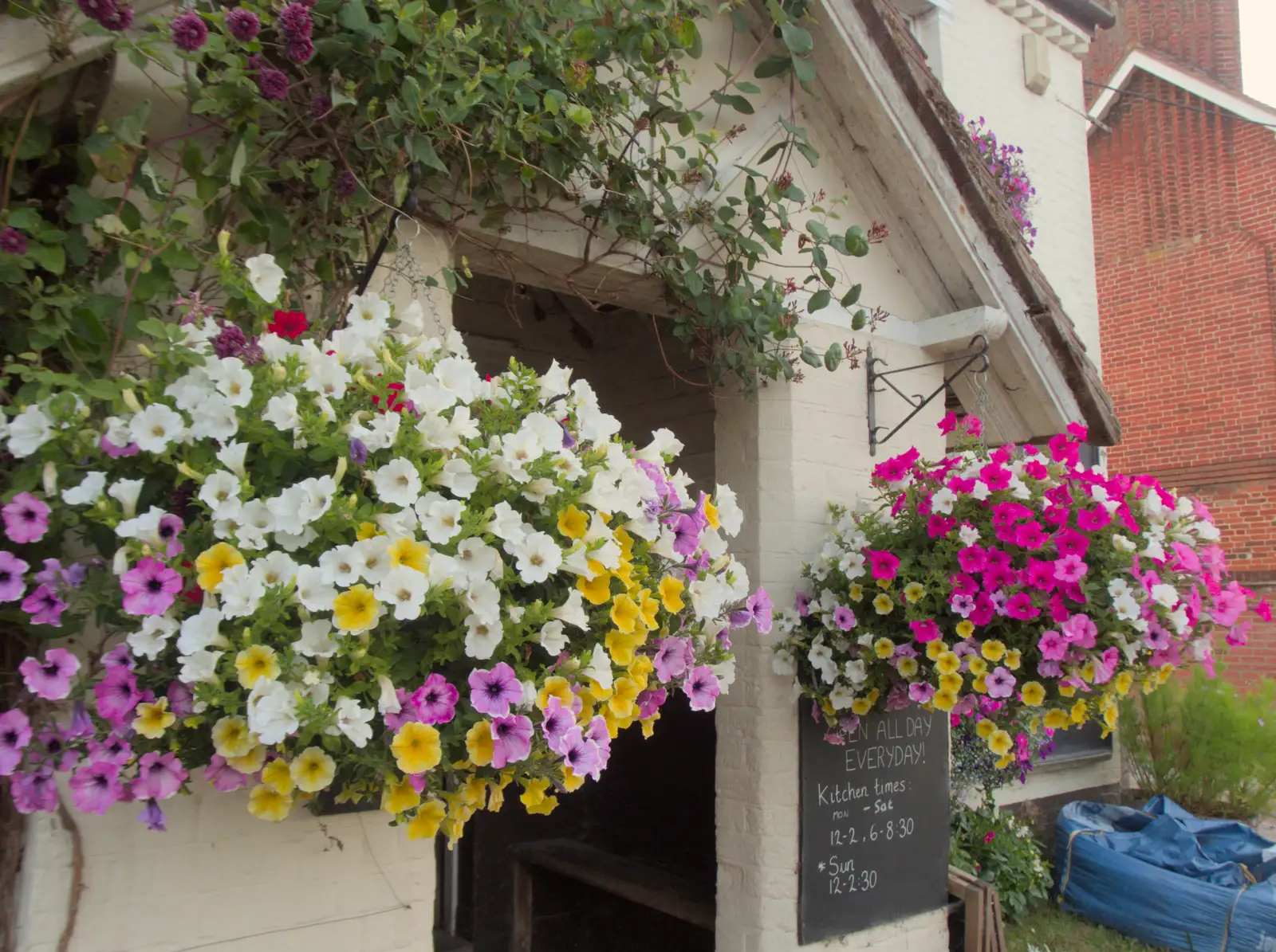 Nice hanging baskets at the Victoria, from Anniversary Prosecco and BSSC Bike Rides, Suffolk - 17th July 2025