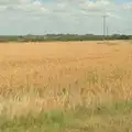 A golden field of oats at Thrandeston, Anniversary Prosecco and BSSC Bike Rides, Suffolk - 17th July 2025