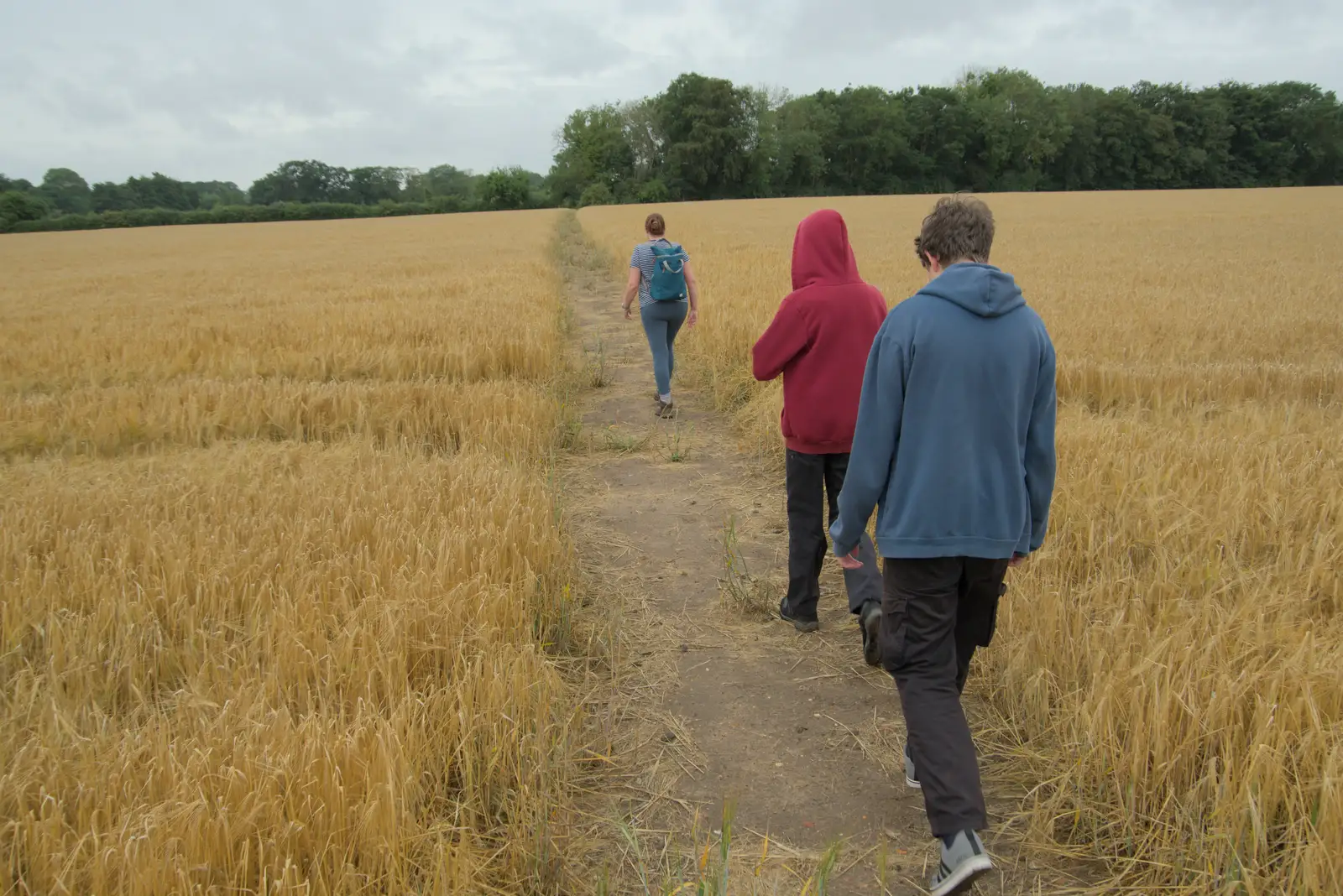 The path runs through a golden wheat field, from A Wet Walk to the Black Horse, Thorndon, Suffolk - 20th July 2025
