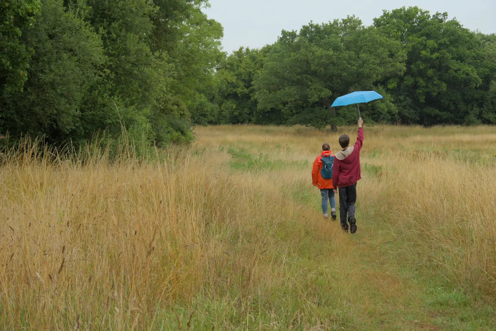 Harry holds an umbrella high in the air, from A Wet Walk to the Black Horse, Thorndon, Suffolk - 20th July 2025