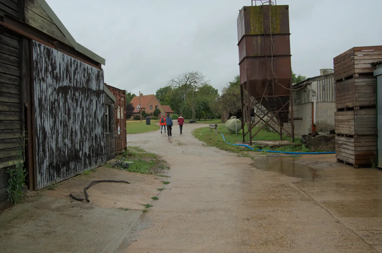 We walk through Old Church Farm, from A Wet Walk to the Black Horse, Thorndon, Suffolk - 20th July 2025