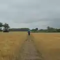 Back in the wheat field, A Wet Walk to the Black Horse, Thorndon, Suffolk - 20th July 2025