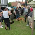 Pablo gets sniffed by a giant dog, The SYWO in Normandy, and a Mini Music Festival, Mellis - 27th July 2025