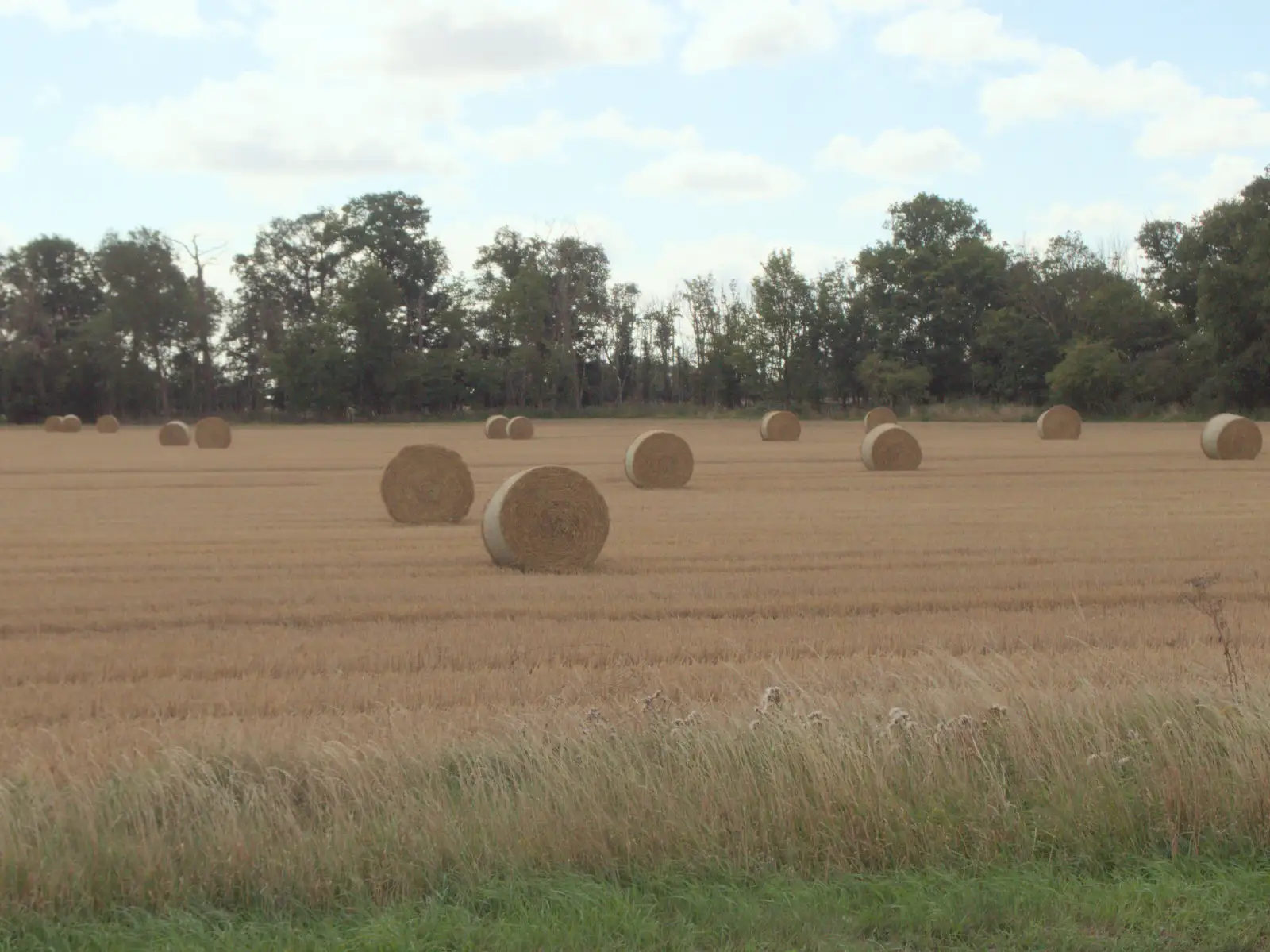 Harvest is early this year, from A Visit to the Thornhams, Suffolk - 3rd August 2025
