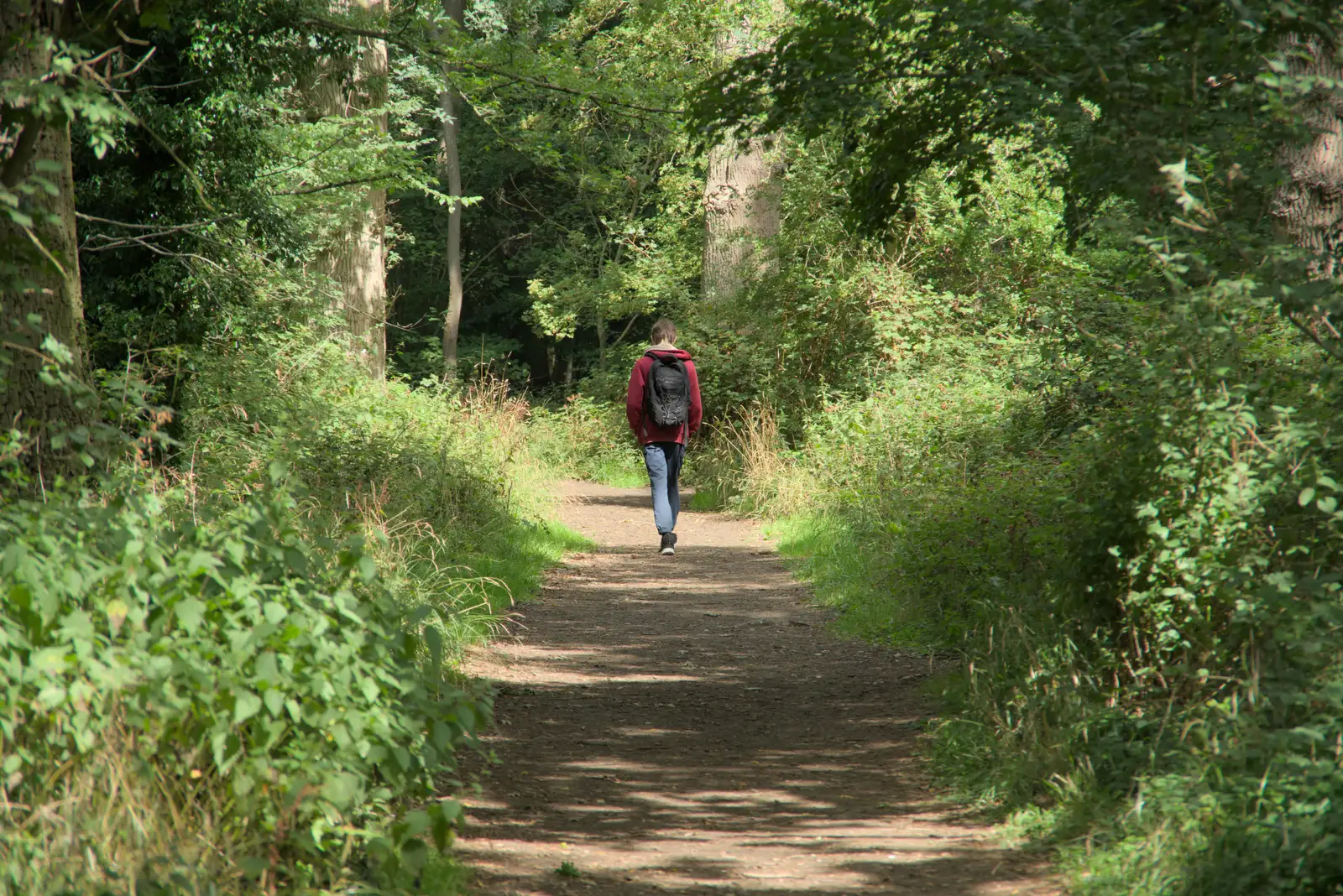 Harry wanders off down the path, from A Visit to the Thornhams, Suffolk - 3rd August 2025