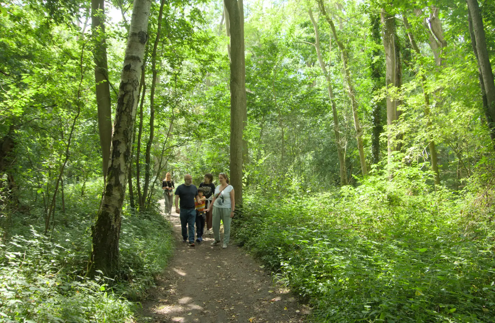 Walking through the leafy glades of Thornham, from A Visit to the Thornhams, Suffolk - 3rd August 2025