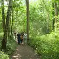 Walking through the leafy glades of Thornham, A Visit to the Thornhams, Suffolk - 3rd August 2025