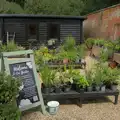 The walled garden has reopened with a shop, A Visit to the Thornhams, Suffolk - 3rd August 2025