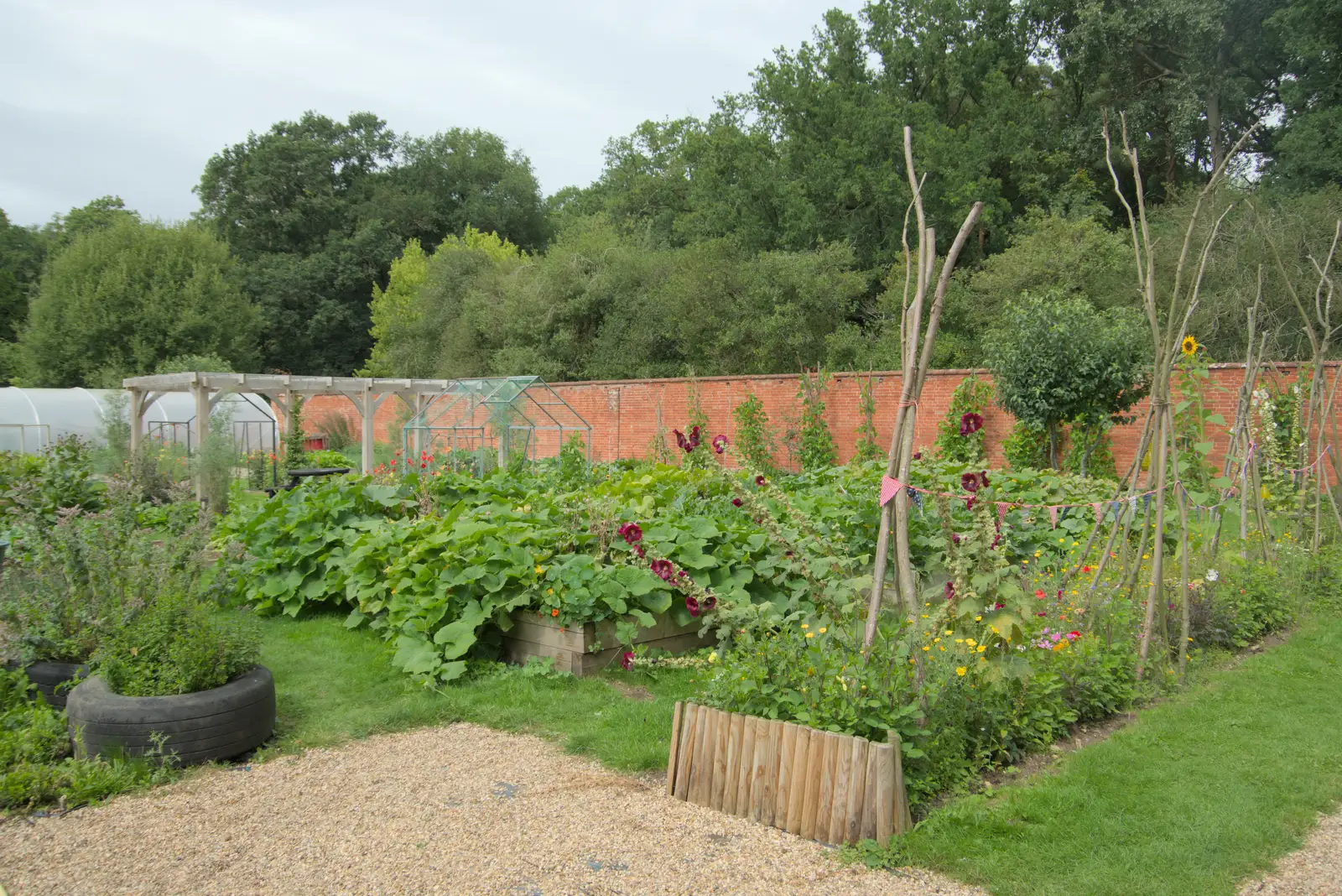 The walled garden nursery, from A Visit to the Thornhams, Suffolk - 3rd August 2025