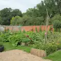 The walled garden nursery, A Visit to the Thornhams, Suffolk - 3rd August 2025