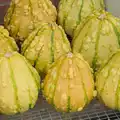 Funky gourds, A Visit to the Thornhams, Suffolk - 3rd August 2025