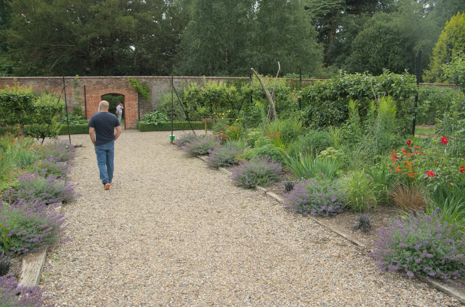 Stefano wanders off, from A Visit to the Thornhams, Suffolk - 3rd August 2025