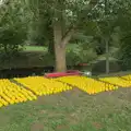Plastic ducks are all laid out, The GSB at the Scouts' Duck Race, The Pennings, Eye - 27th September 2025