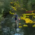 A larger group of ducks follows up the rear, The GSB at the Scouts' Duck Race, The Pennings, Eye - 27th September 2025