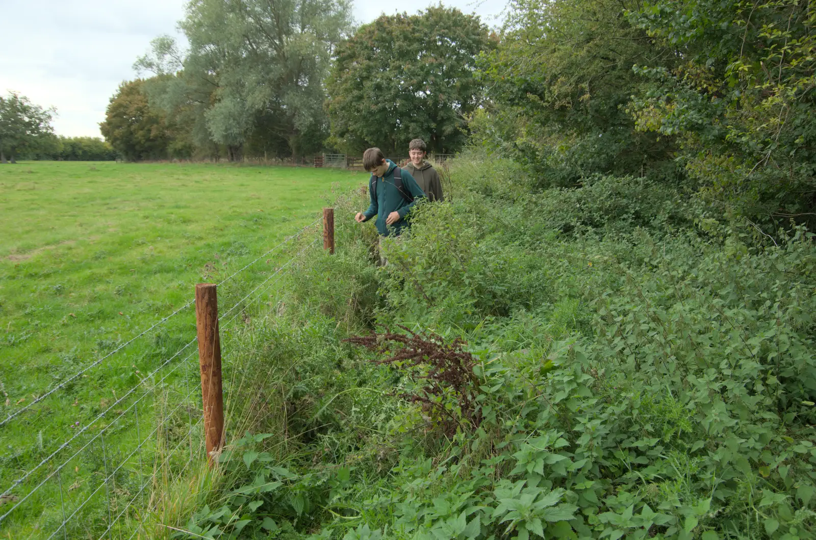 The path by Scole Plantations is a bit overgrown, from A Late September Miscellany, Norfolk and Suffolk - 28th September 2025