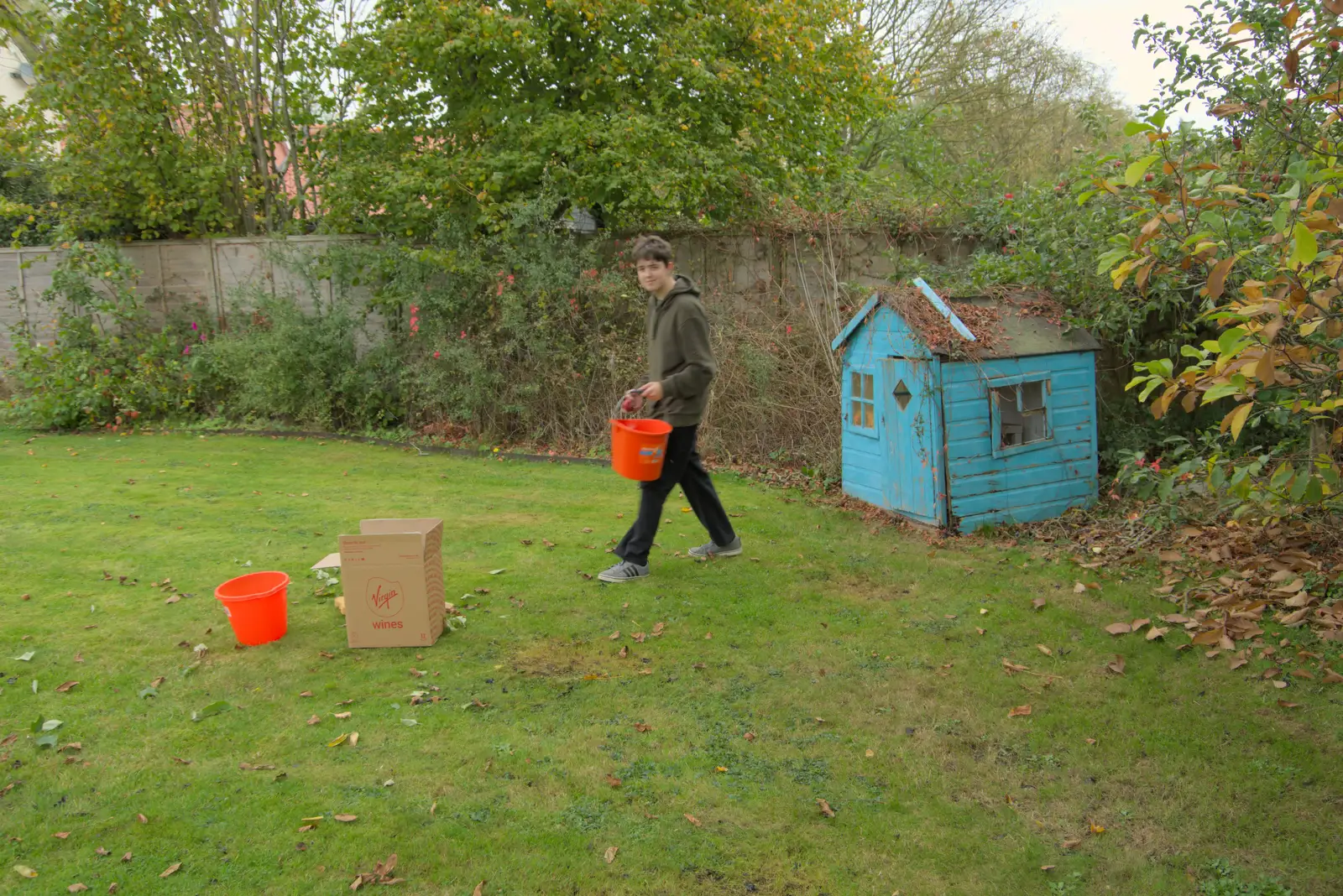 Fred wanders around with an empty bucket, from Apple Picking, and the Cats' Pyjamas - 18th October 2025