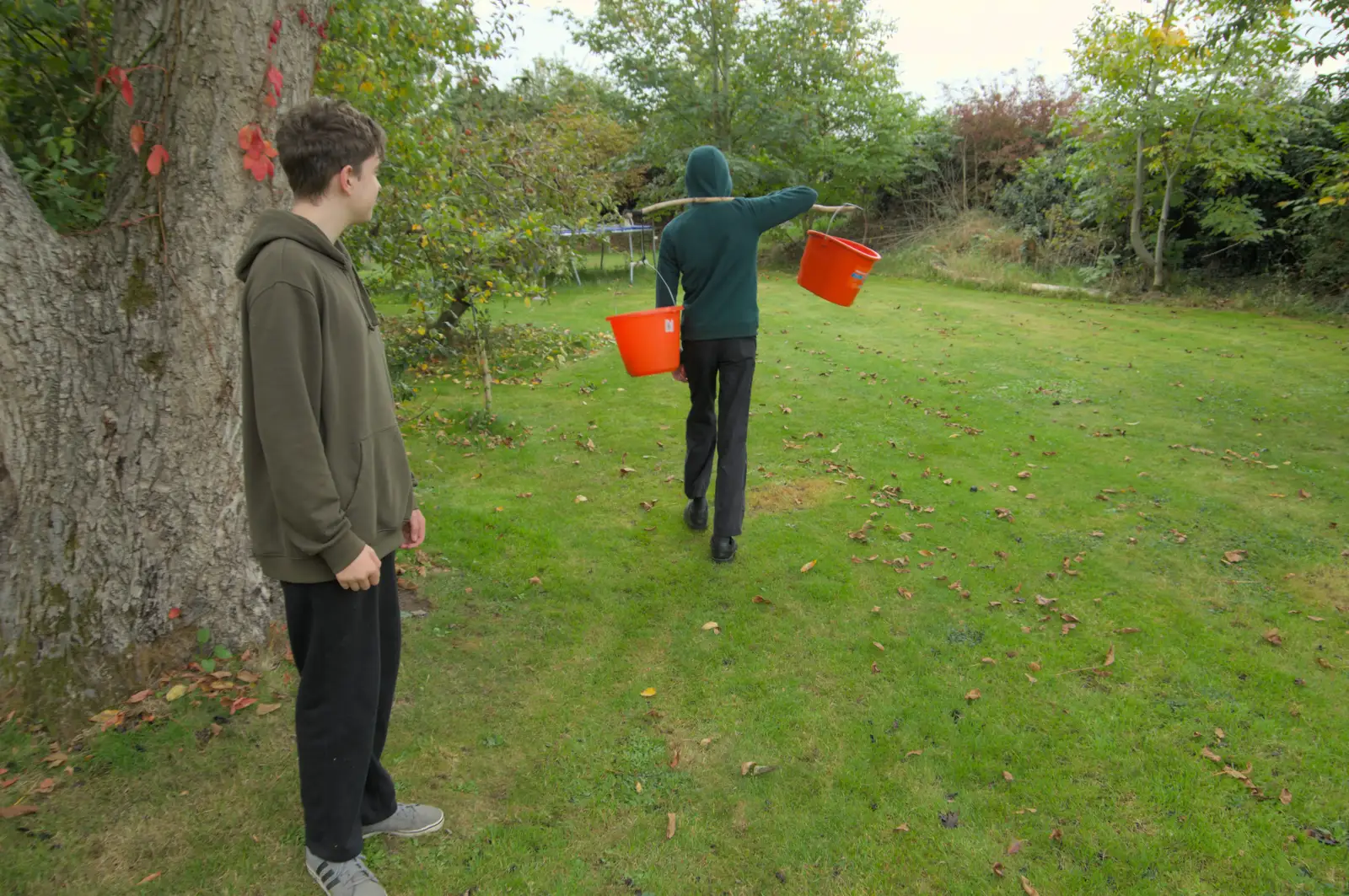 Fred looks at Harry's bucket yoke, from Apple Picking, and the Cats' Pyjamas - 18th October 2025