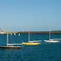 A line of classic yachts in the harbour, End of the Line 1: Dún Laoghaire to Howth, Ireland - 29th October 2025