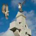 Seagulls on a Celtic Cross, End of the Line 1: Dún Laoghaire to Howth, Ireland - 29th October 2025