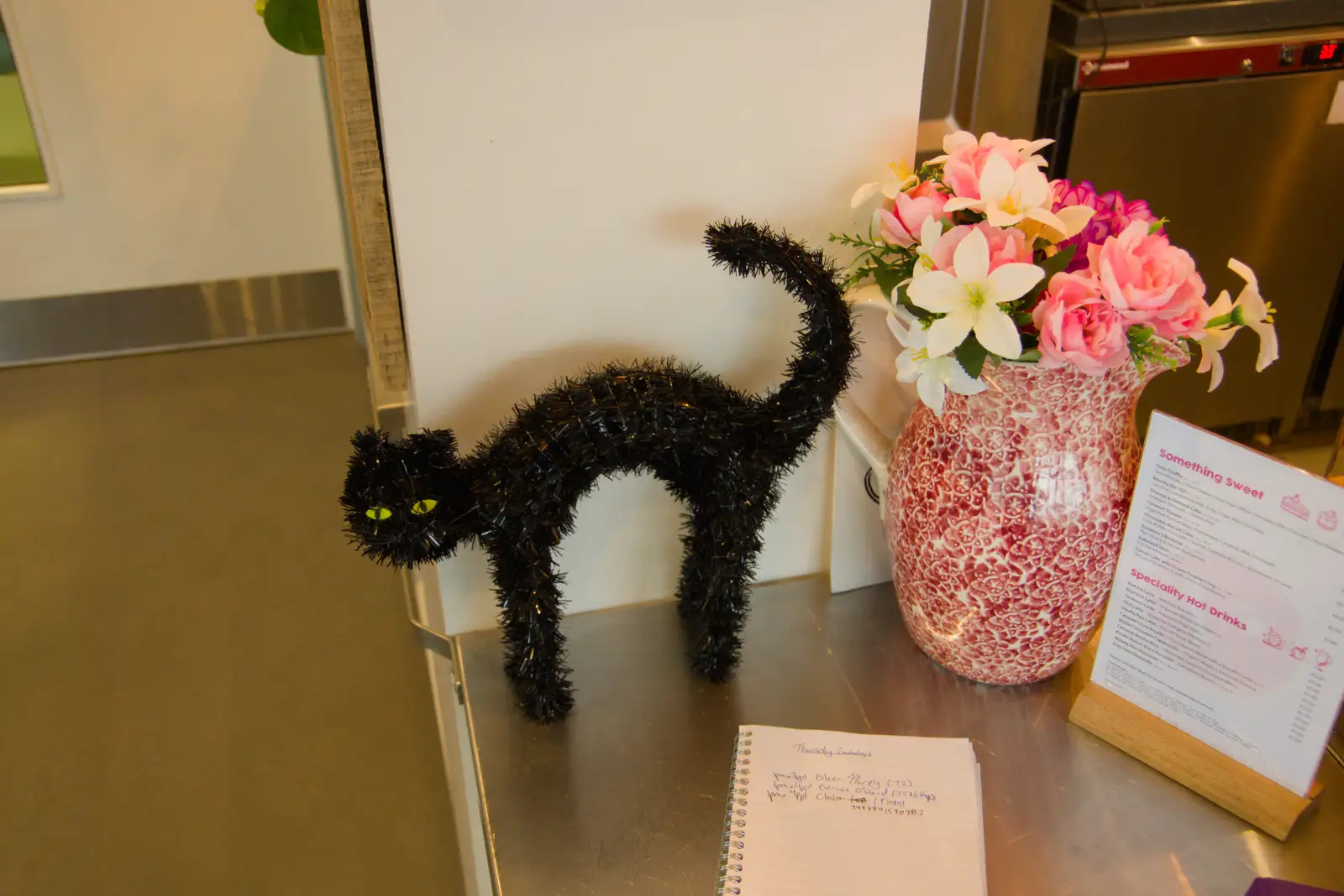 A comedy cat has got its frizz on, from End of the Line 2: Bré to Blackrock, County Dublin, Ireland - 1st November 2025