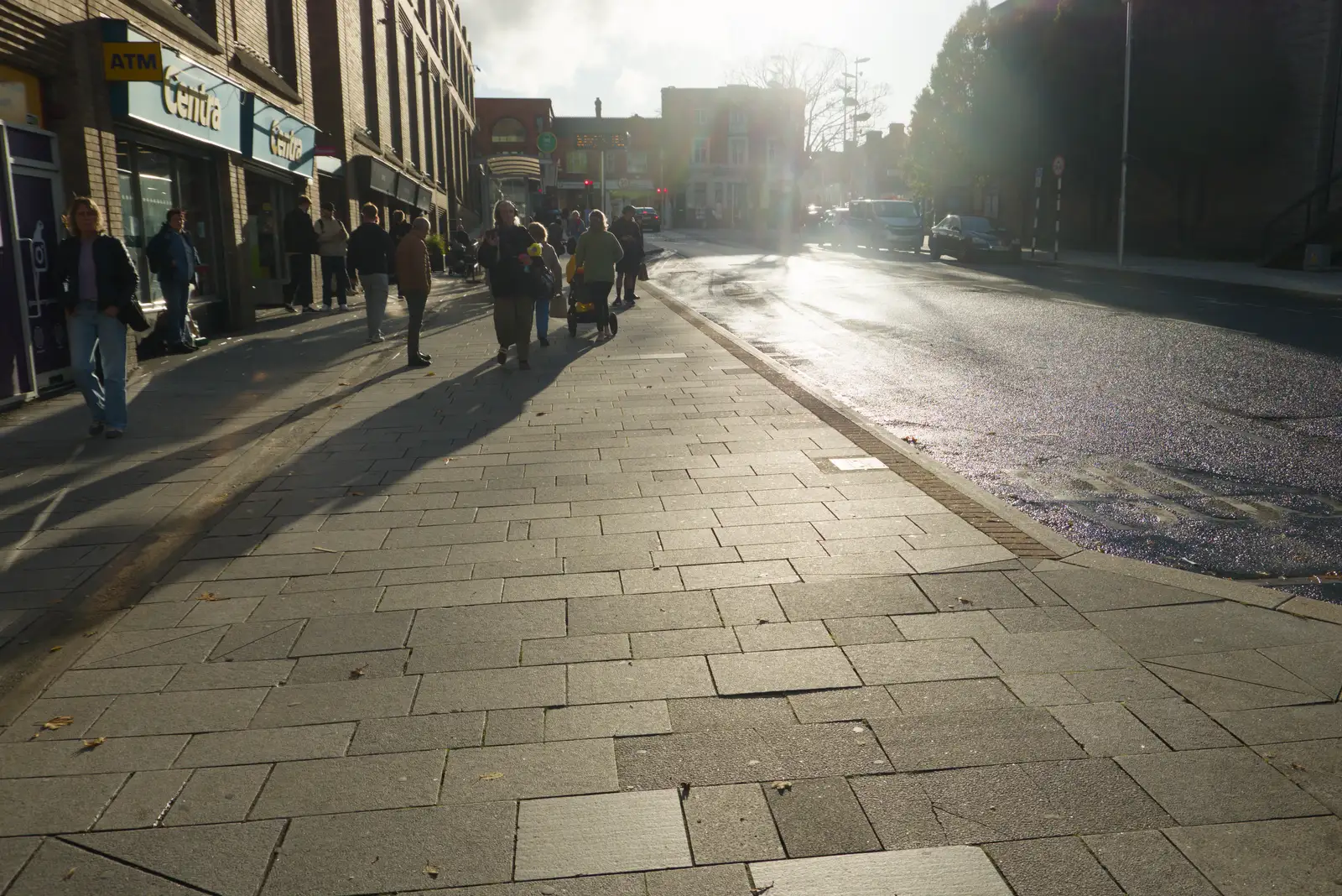 Contra jour on Marine Road, from End of the Line 2: Bré to Blackrock, County Dublin, Ireland - 1st November 2025