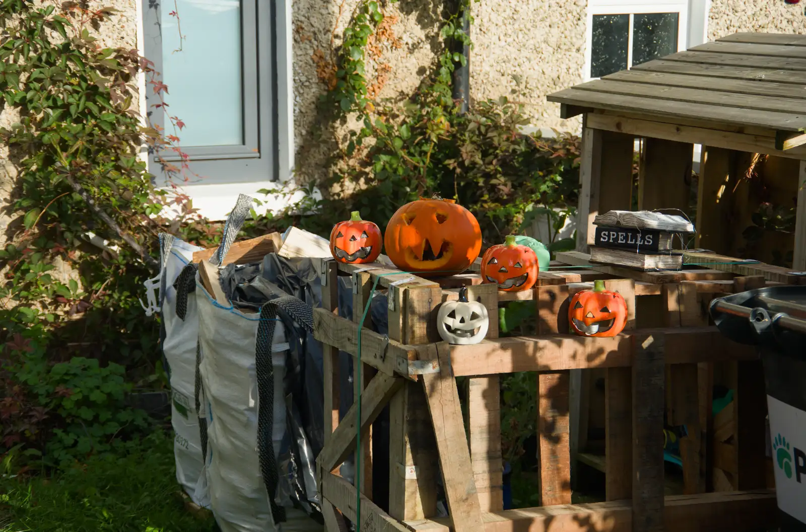 Carved pumpkins on Oliver Plunkett Avenue, from End of the Line 2: Bré to Blackrock, County Dublin, Ireland - 1st November 2025