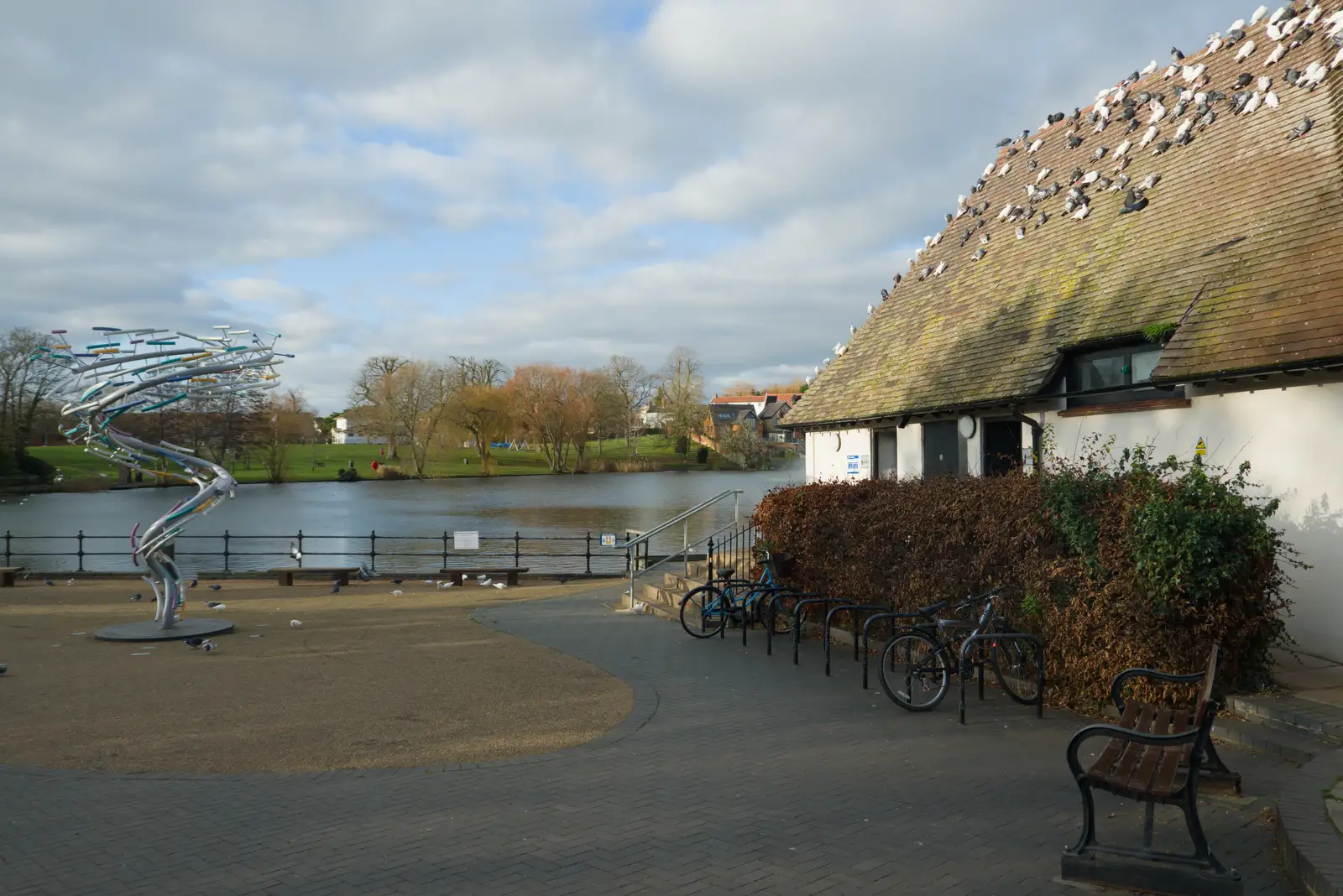 Hundreds of doves cling to the roof of the bogs, from A Christmas Day Miscellany, Brome, Suffolk - 25th December 2025