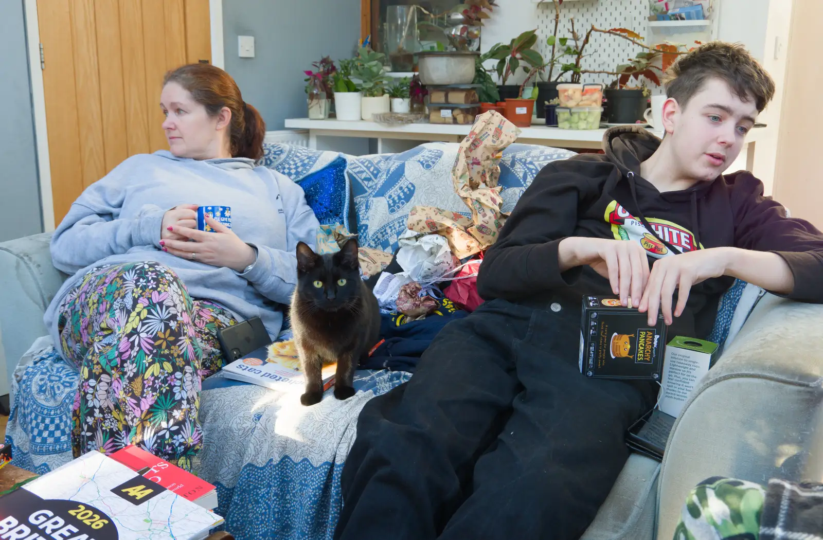 Lilly - the Ball of Dim - comes to help, from A Christmas Day Miscellany, Brome, Suffolk - 25th December 2025