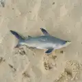 There's a small plastic hammerhead shark, Boxing Day in Southwold, Suffolk - 26th December 2025