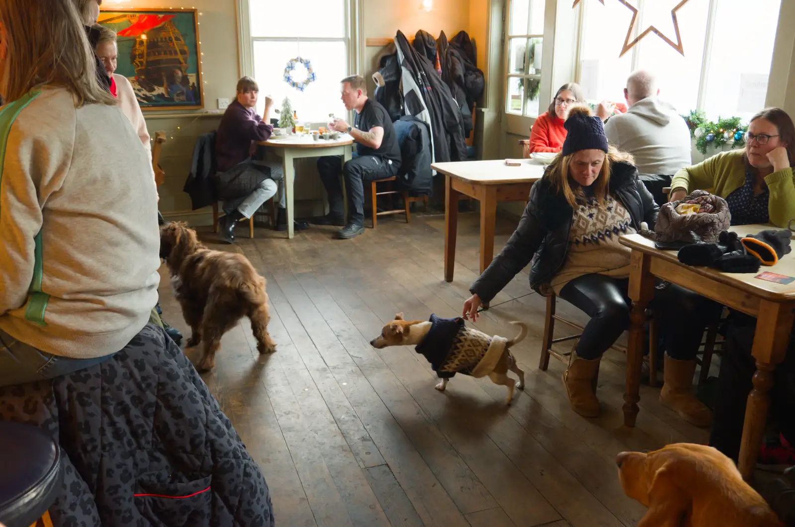 Lots of dogs in the pub, from Boxing Day in Southwold, Suffolk - 26th December 2025