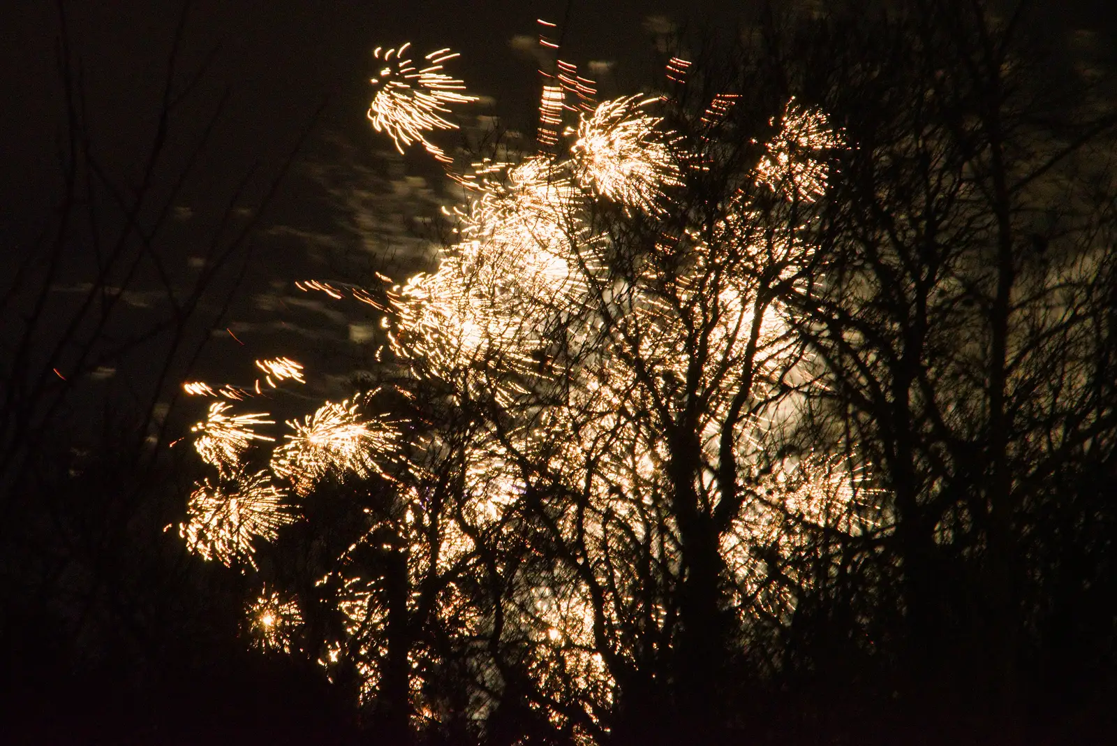 A burst of fireworks behind the trees, from Dove Players and New Year's Eve, Brome - 31st December 2025