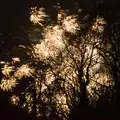 A burst of fireworks behind the trees, Dove Players and New Year's Eve, Brome - 31st December 2025