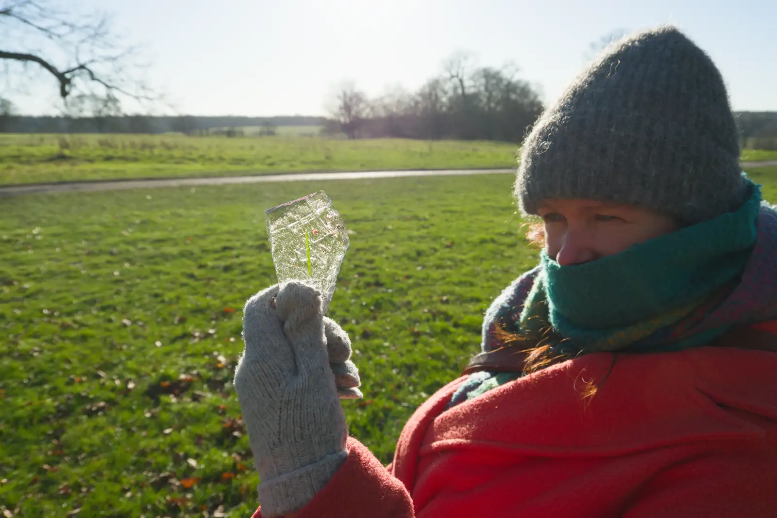 Isobel finds a nice piece of ice with grass on it, from Shadow the Snow Leopard at Ickworth House, Horringer - 4th January 2026