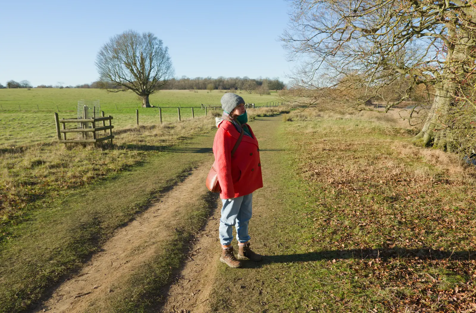 Isobel watches the wildlife for a bit, from Shadow the Snow Leopard at Ickworth House, Horringer - 4th January 2026