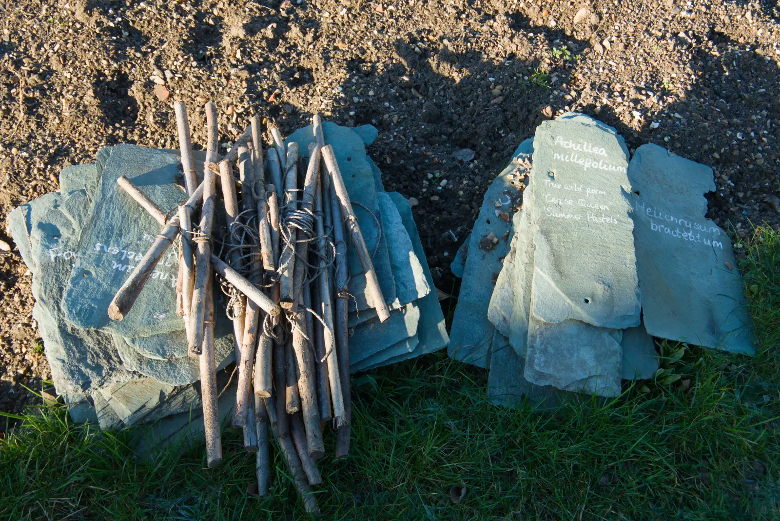 Plant name tags made out of the old rotunda tiles, from Shadow the Snow Leopard at Ickworth House, Horringer - 4th January 2026