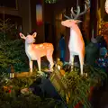 Deer and Christmas trees in the house lobby, Shadow the Snow Leopard at Ickworth House, Horringer - 4th January 2026