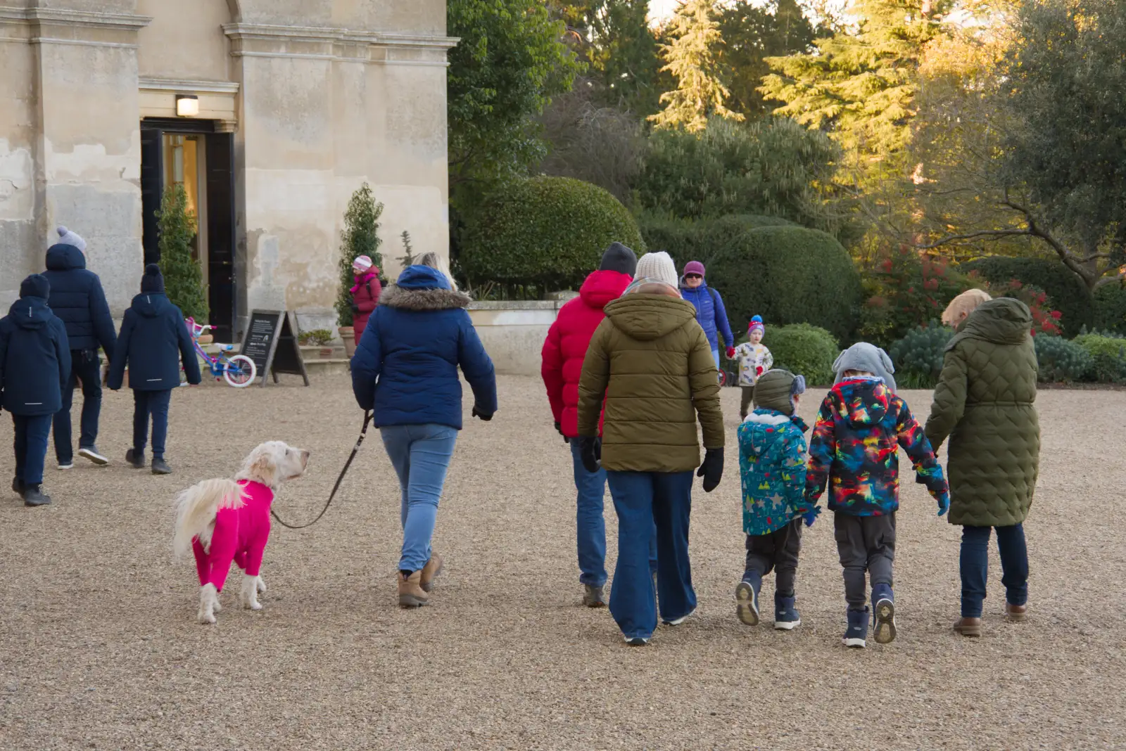 A dog walks around with a rather absurd coat , from Shadow the Snow Leopard at Ickworth House, Horringer - 4th January 2026
