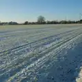 The back field is a mixture of snow and wheat, Harry's Snow Days, Brome, Suffolk - 5th January 2026