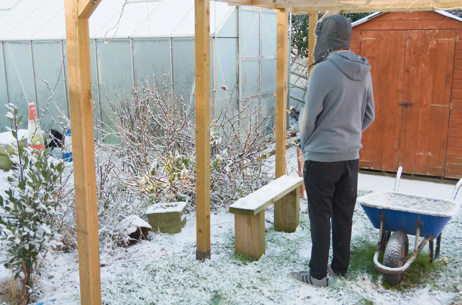 Fred considers the frozen greenhouse, from Harry's Snow Days, Brome, Suffolk - 5th January 2026