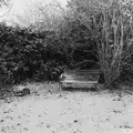Harry's photo of a garden bench, Harry's Snow Days, Brome, Suffolk - 5th January 2026