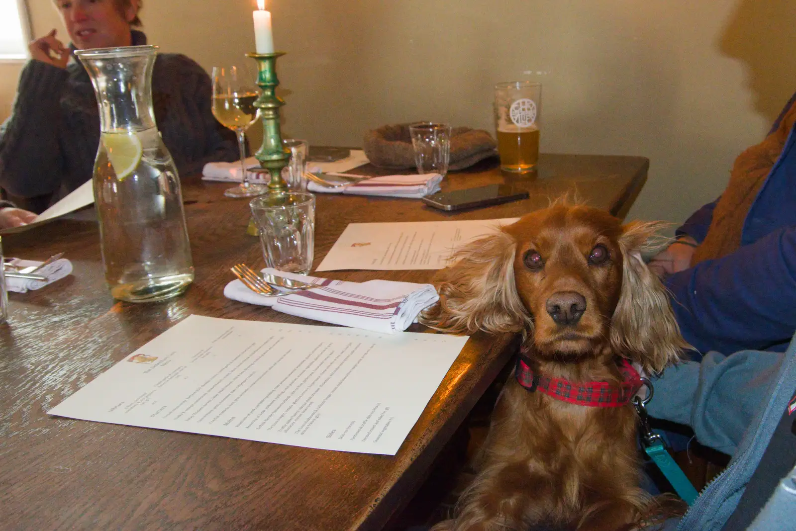 Luna the exciteable spaniel in the pub, from Dove Players' Pantomime, and Lunch in the Lion, Debenham - 11th January 2026