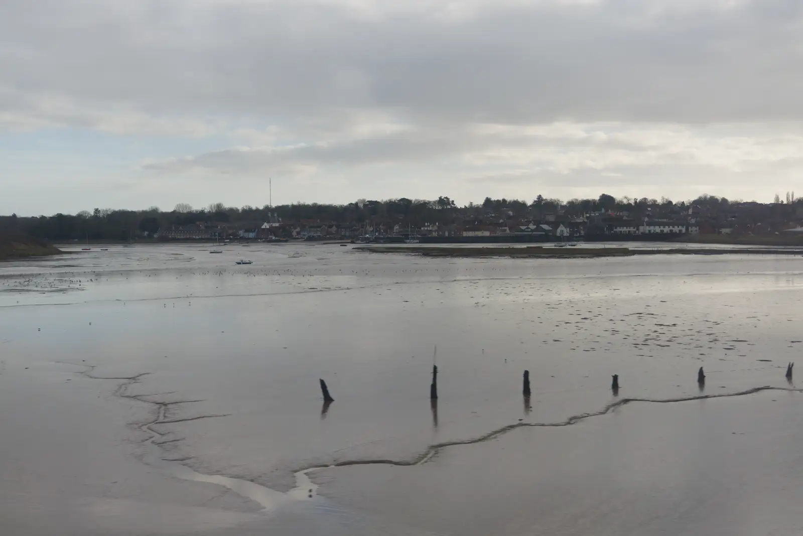 Wooden stumps in the estuary at Manningtree, from New Milton and a Return to Lymington, Hampshire - 17th January 2026