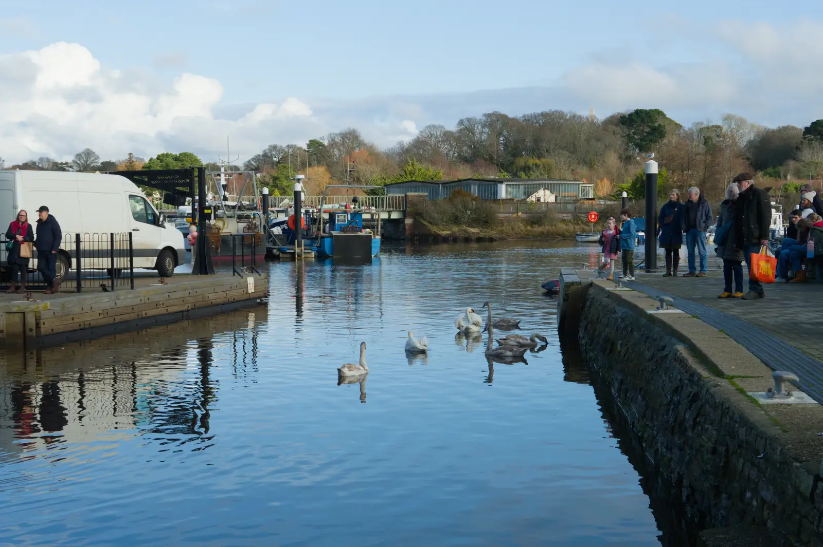 Swans pootle about at the quay, from New Milton and a Return to Lymington, Hampshire - 17th January 2026