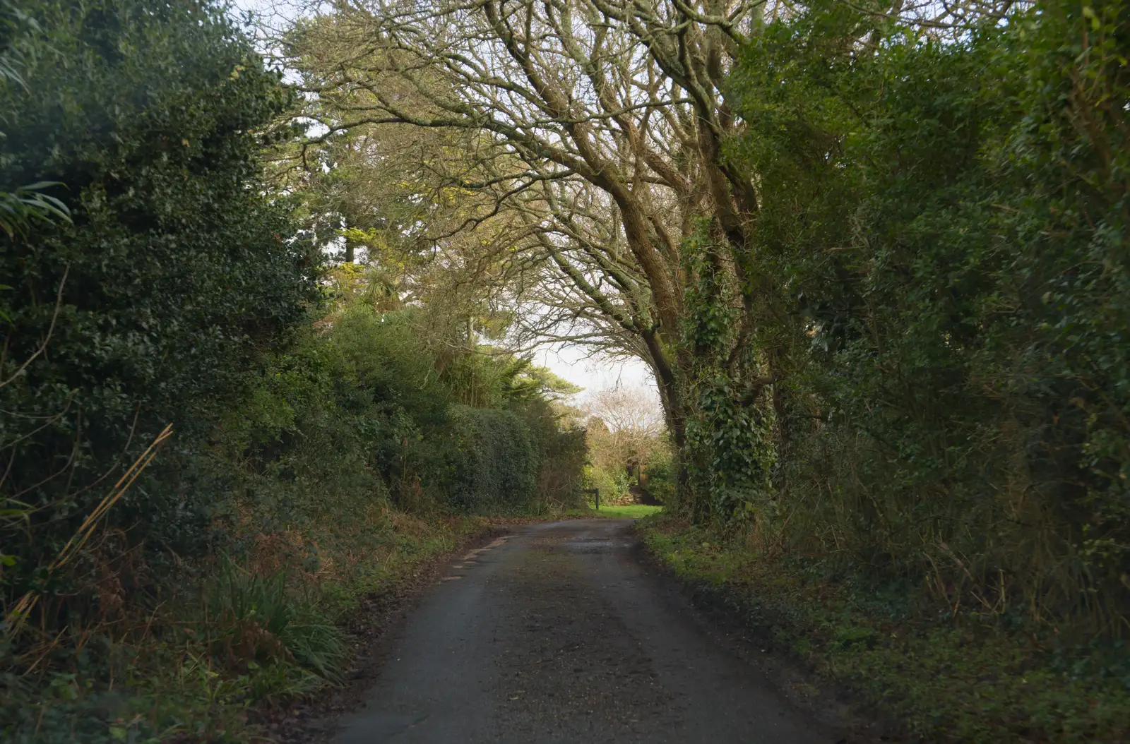 We drive up Meadow Way in Barton on Sea, from New Milton and a Return to Lymington, Hampshire - 17th January 2026