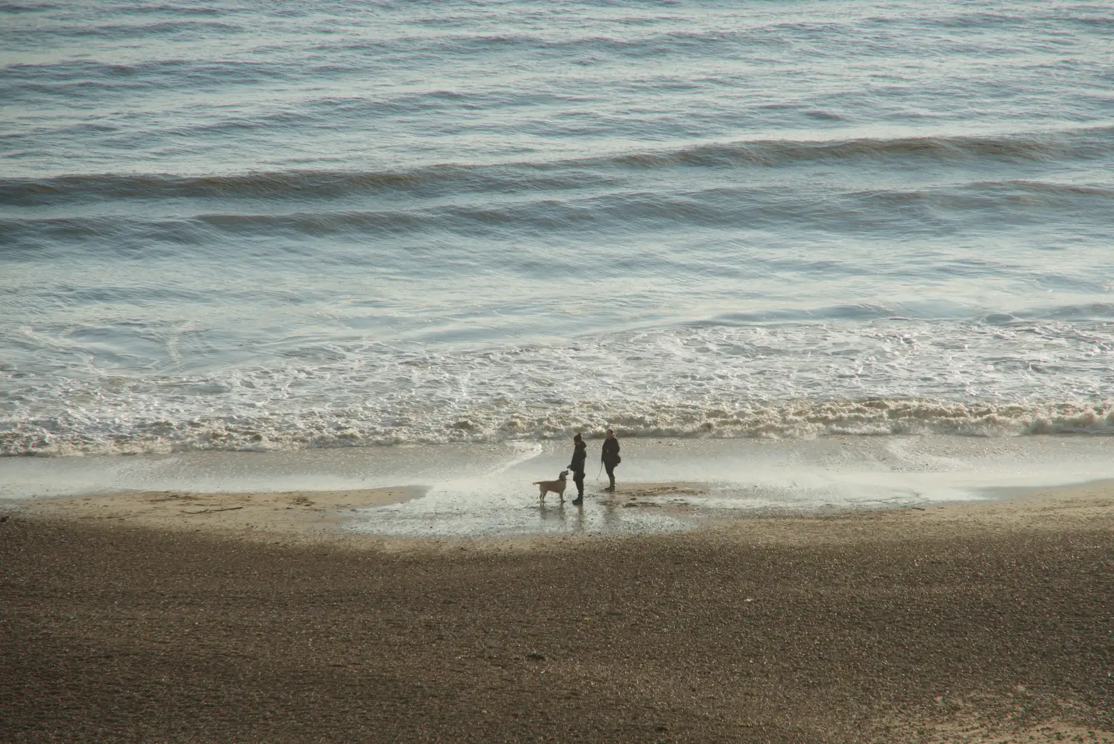 Dog walkers on the beach at Highcliffe, from New Milton and a Return to Lymington, Hampshire - 17th January 2026