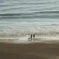 Dog walkers on the beach at Highcliffe, New Milton and a Return to Lymington, Hampshire - 17th January 2026